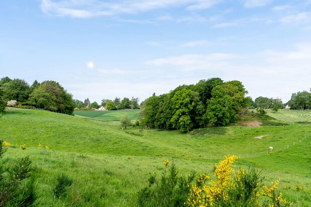 Walloon Brabant I Lasne Chapelle