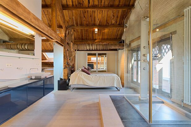 Superbe loft de toit meublé avec terasse et garage.