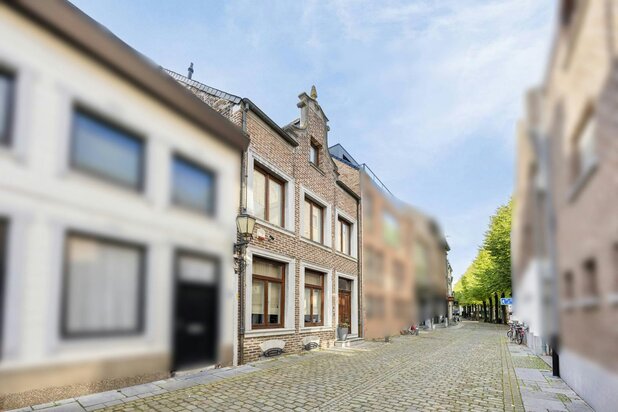 Uniek stadspand met dakterras in centrum Maaseik