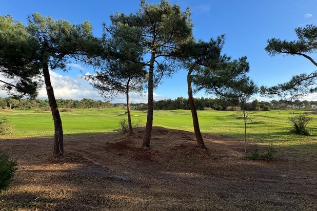 Te renoveren charmante koppelvilla gelegen in een paadje met panoramisch open zicht op de Royal Zoute Golf.