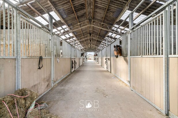 Hedendaagse woning met paardenaccommodatie op 2,3HA