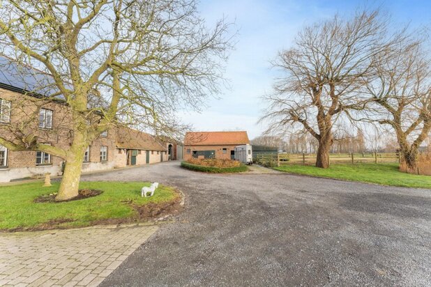 Idyllische Landbouwhoeve in de Uitkerkse Polders