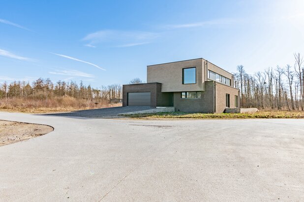 Contemporary villa - Well-kept neighbourhood with trees