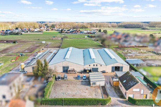 KAMPENHOUT - Professionele paardenaccommodatie op 4ha28