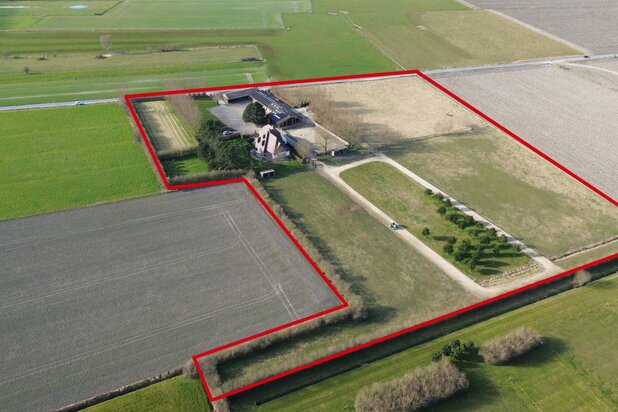 Estate with horse stables and panoramic views over the polder landscape